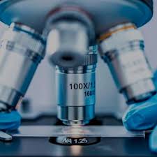 Fertility Preservation